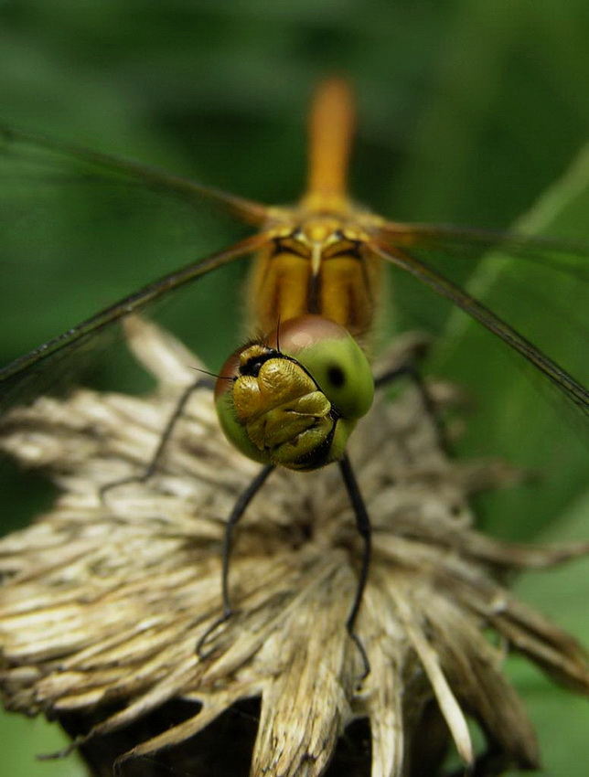     8)
