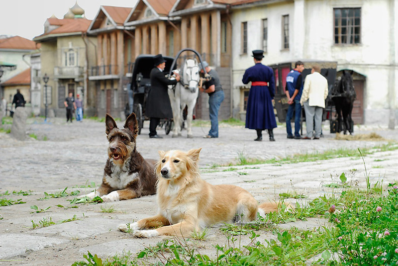  old city