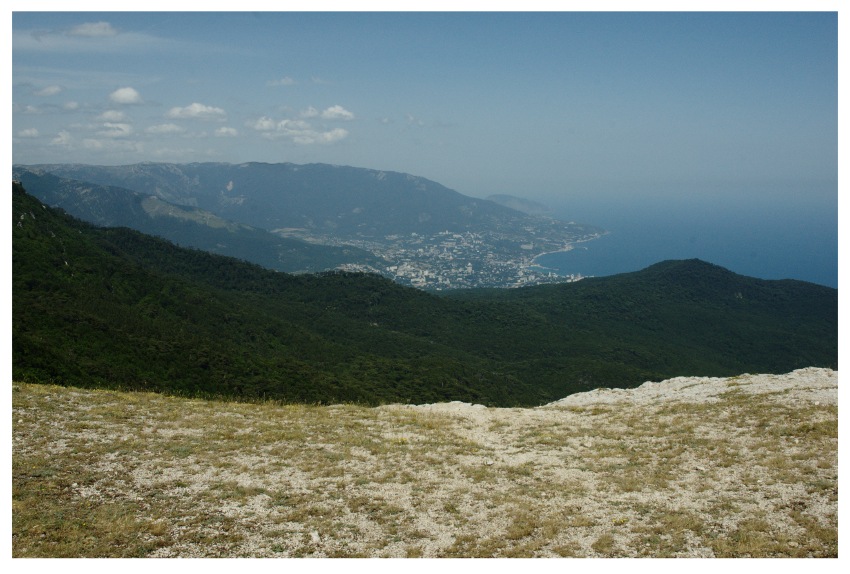  iPetri
