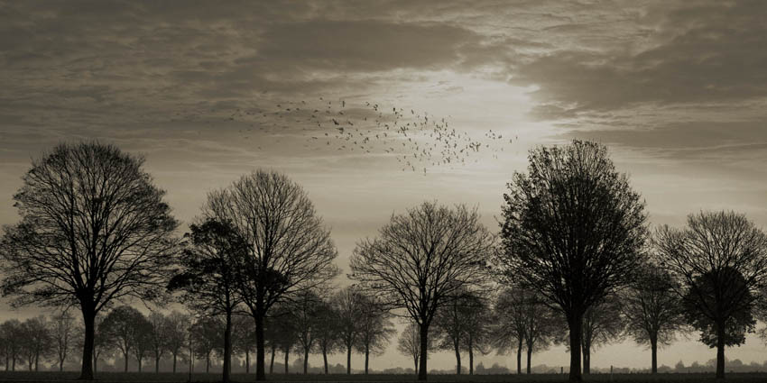  in autumn