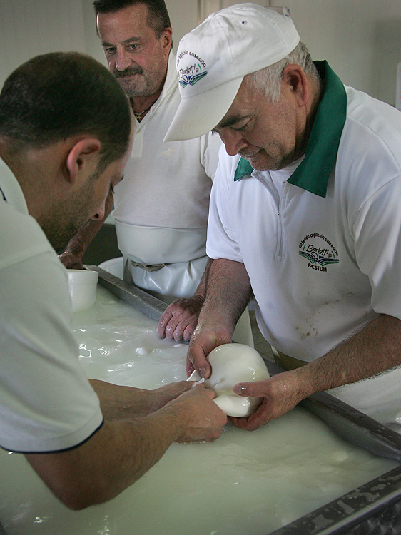  Mozzarella # 1