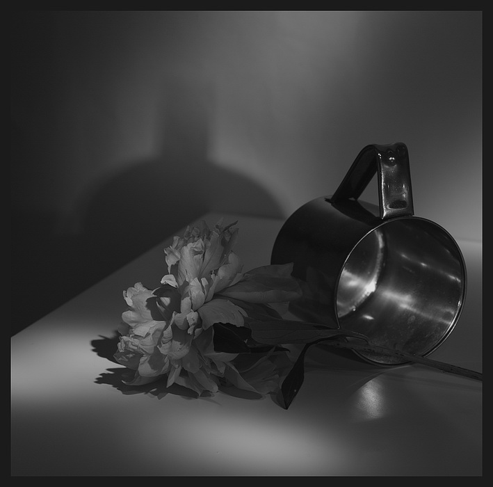  Paeonia No.2