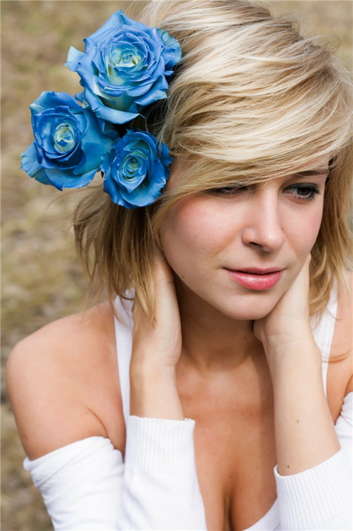  blue roses