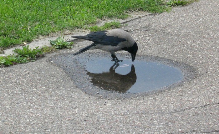   , , 