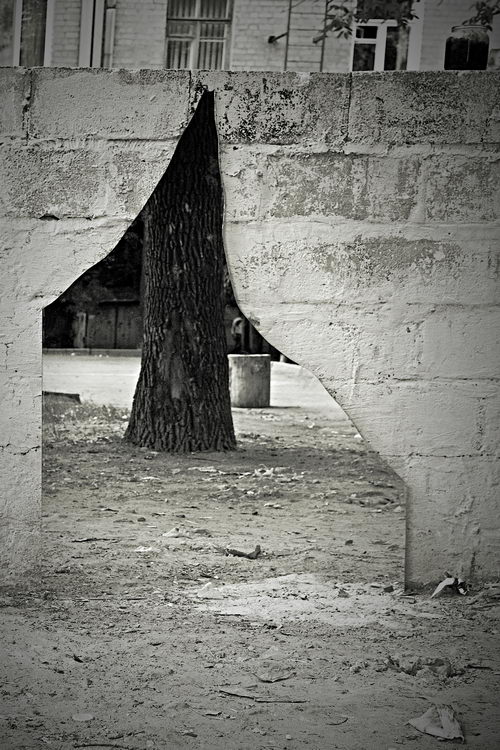  beyond the invisible