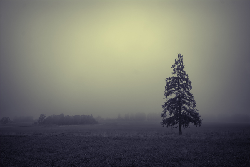   (090829-PICT6413-cp)