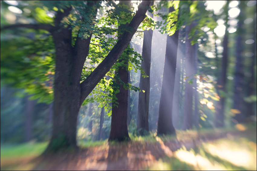   (090916-PICT8209)