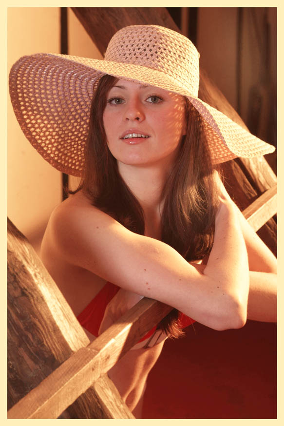  dasha