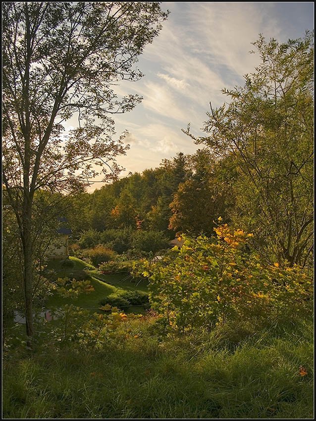  Sunny valley