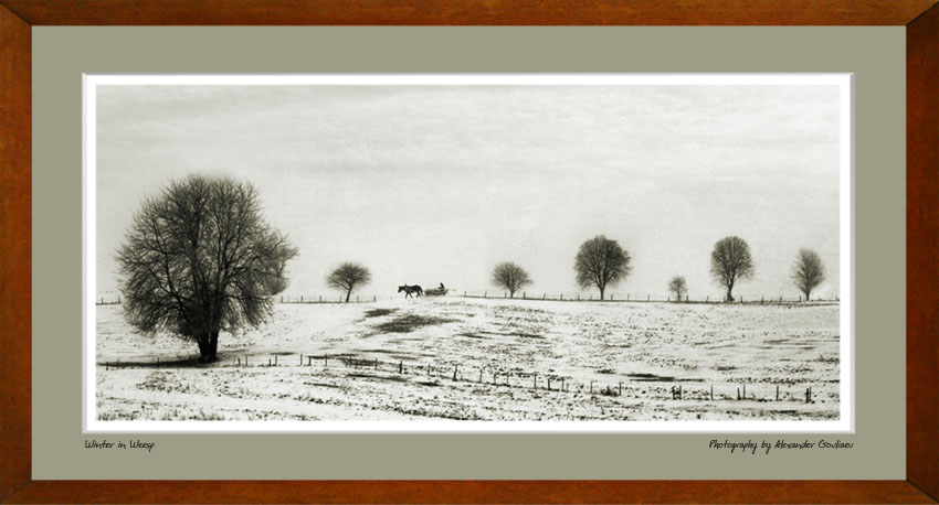  Winter in Weesp