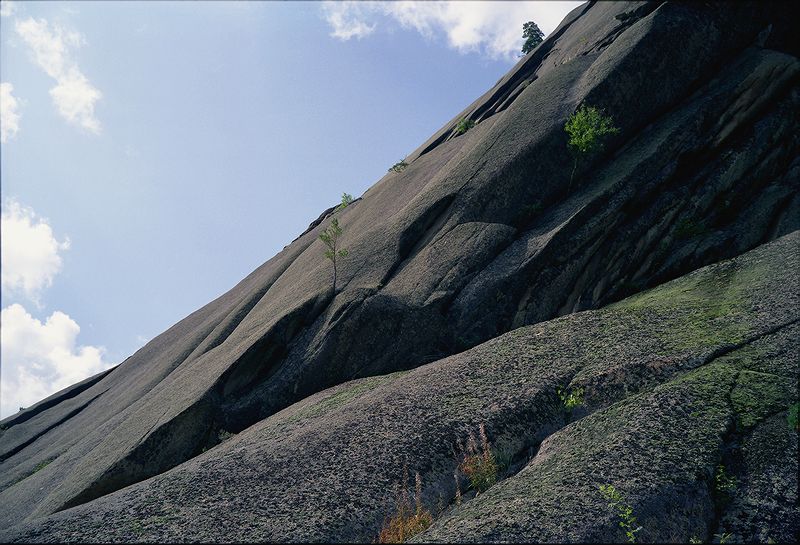  (). . 1992.