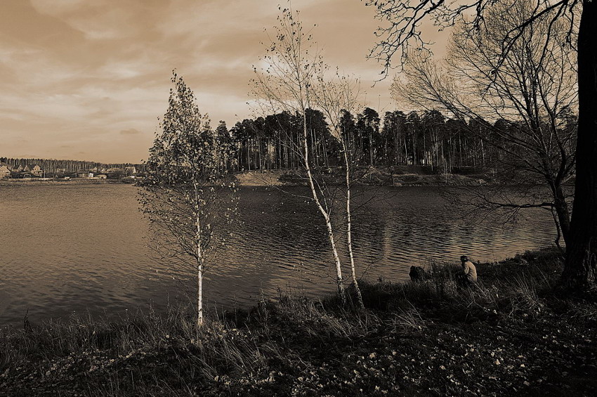     (2008)
