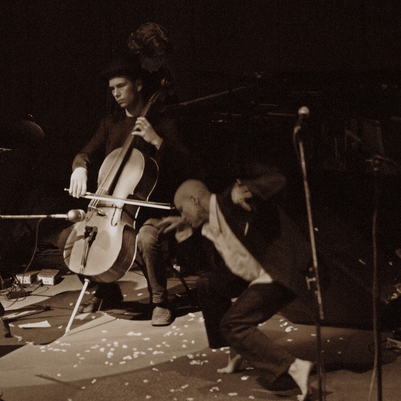     (2006)