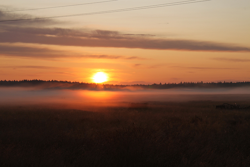  dawn as an art