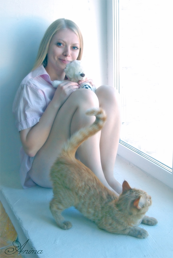  ***