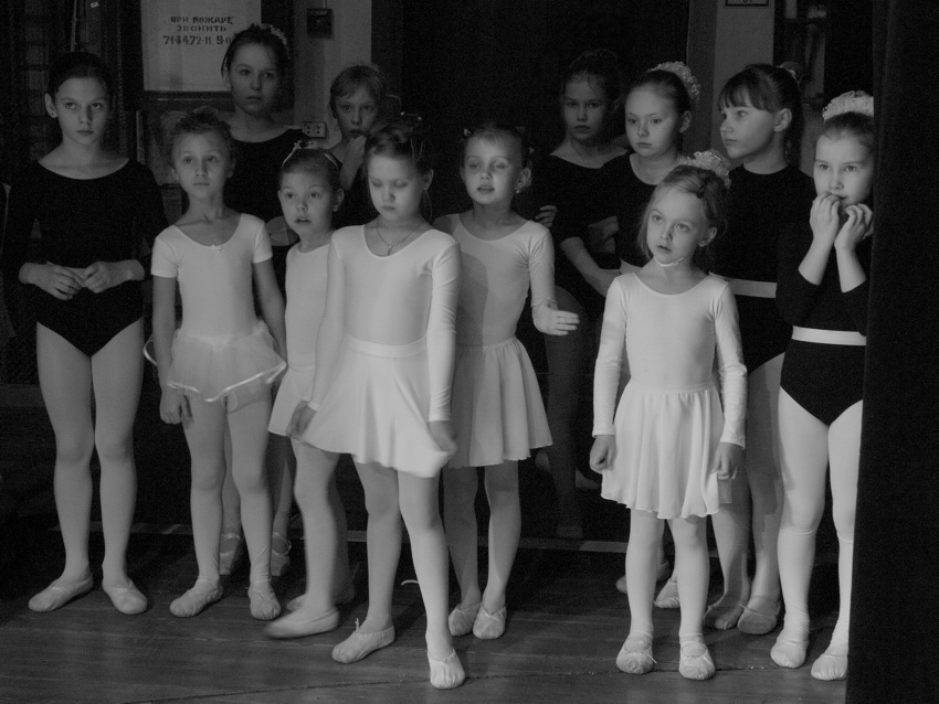    (2009)