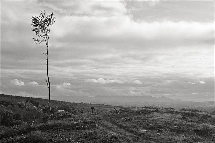  Slieve Felim