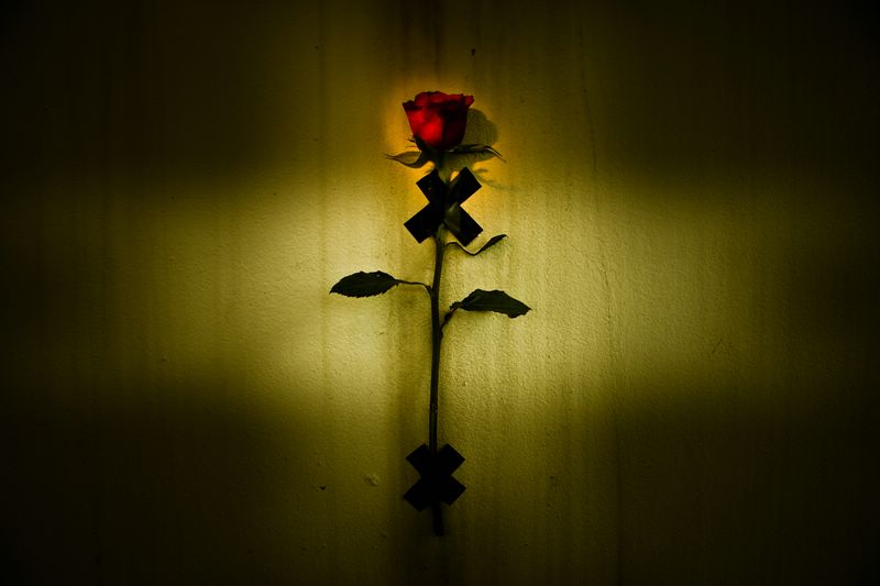  Violator-01