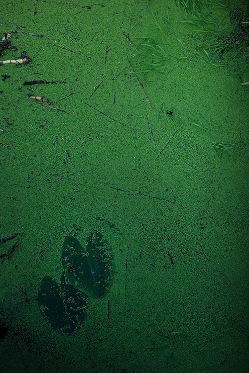  -------