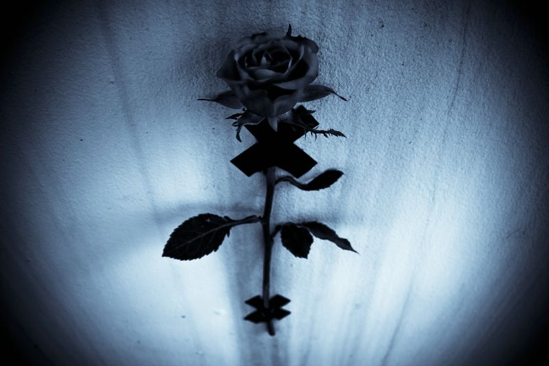 Violator-03