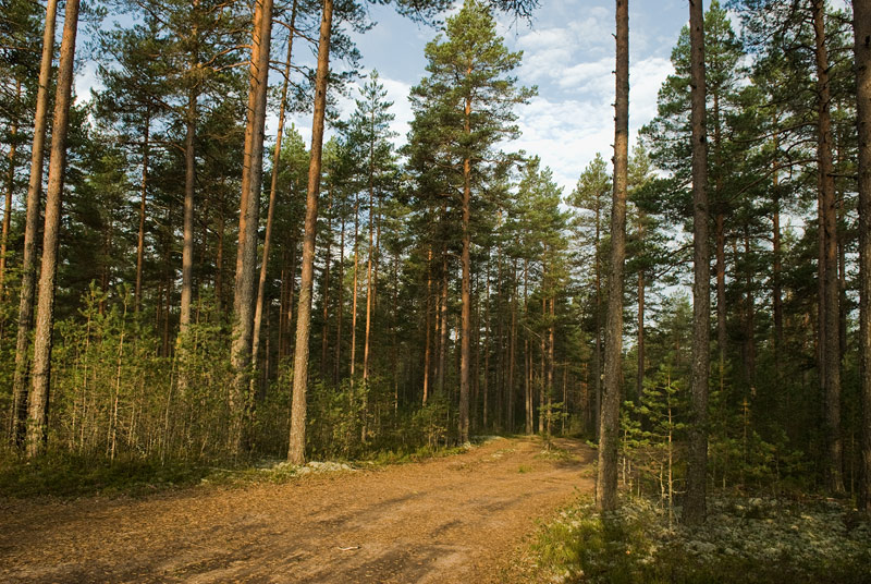    -2.