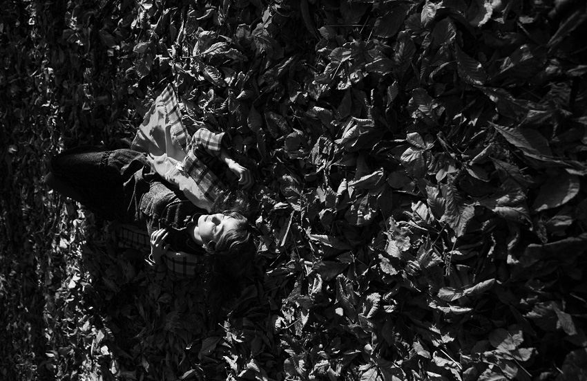  Autumn 4
