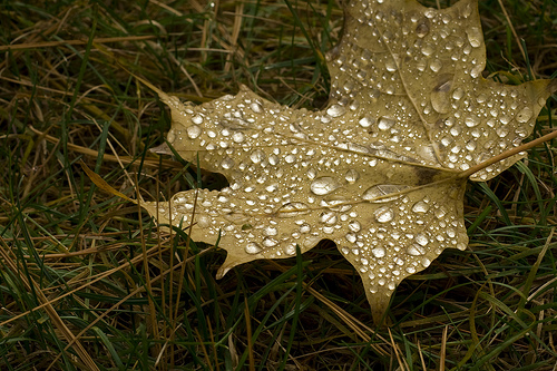 last day of autumn...