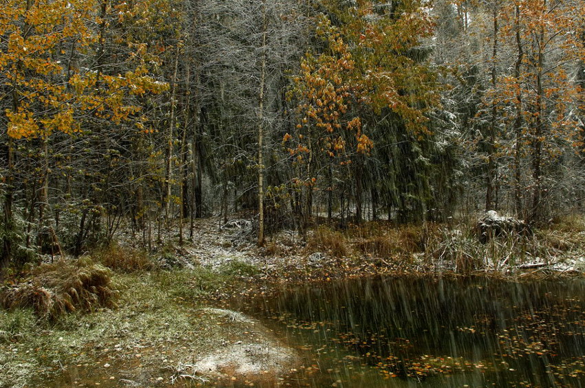    ... (2007)
