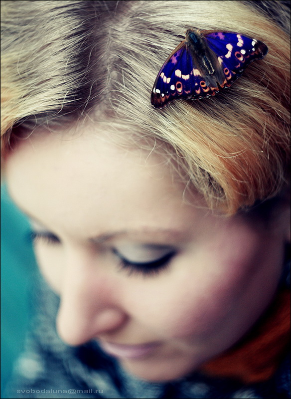  butterfly...
