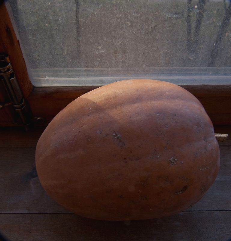  . . 2009.