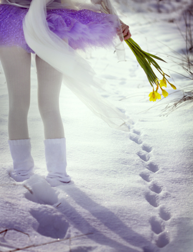  dreams...