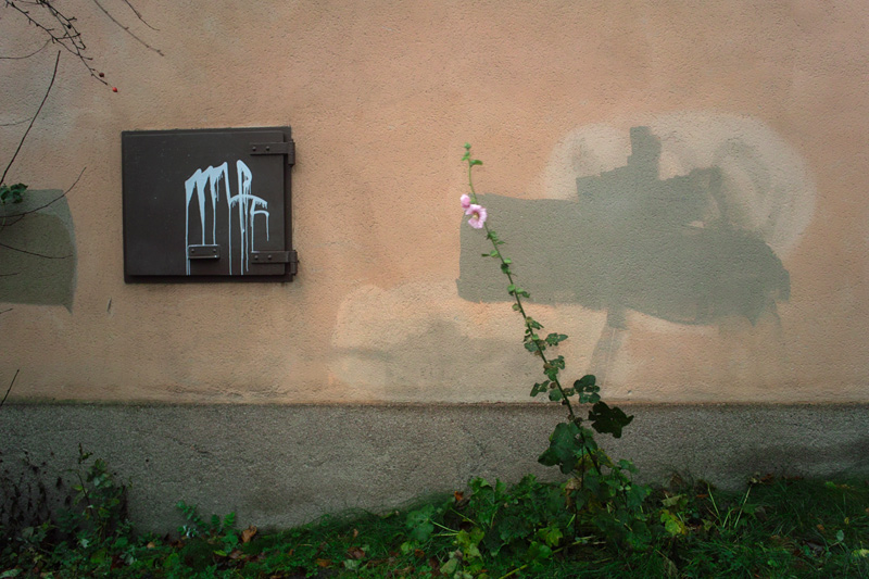   . . 2009.