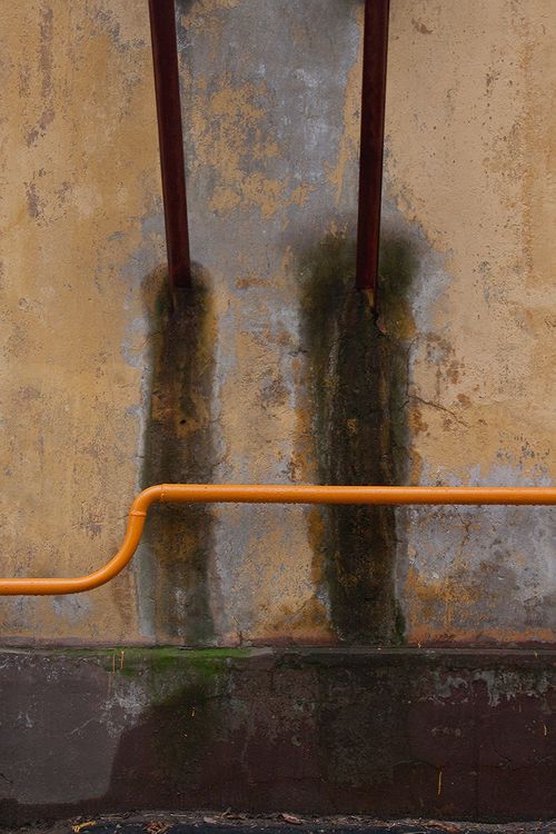   . . 2009.