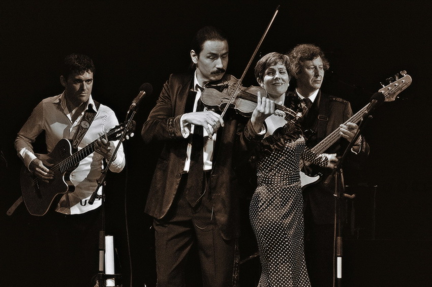   (2009)