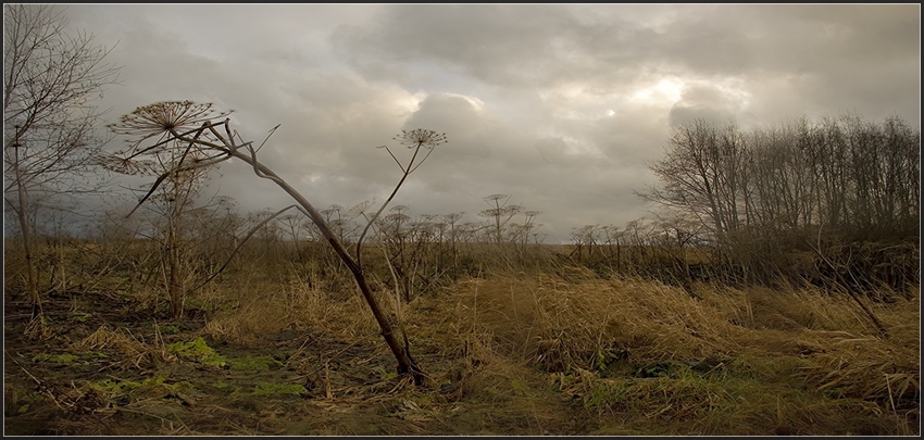  Straw autumn