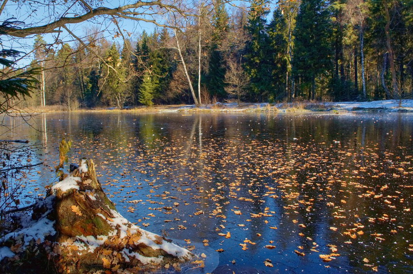     (2005)