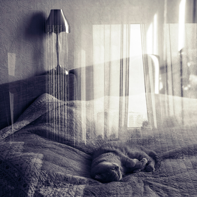 golden slumbers