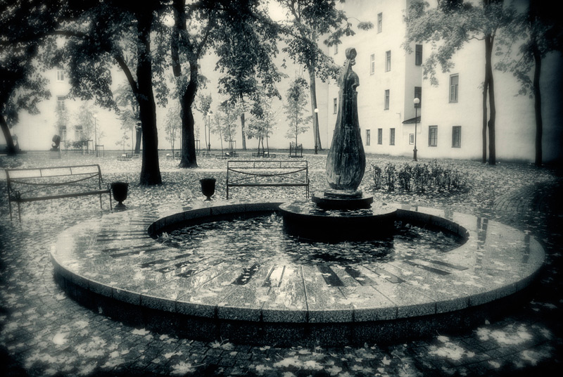  autumn