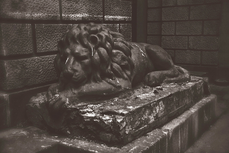  leon