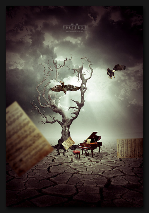  Dreams: Nocturne
