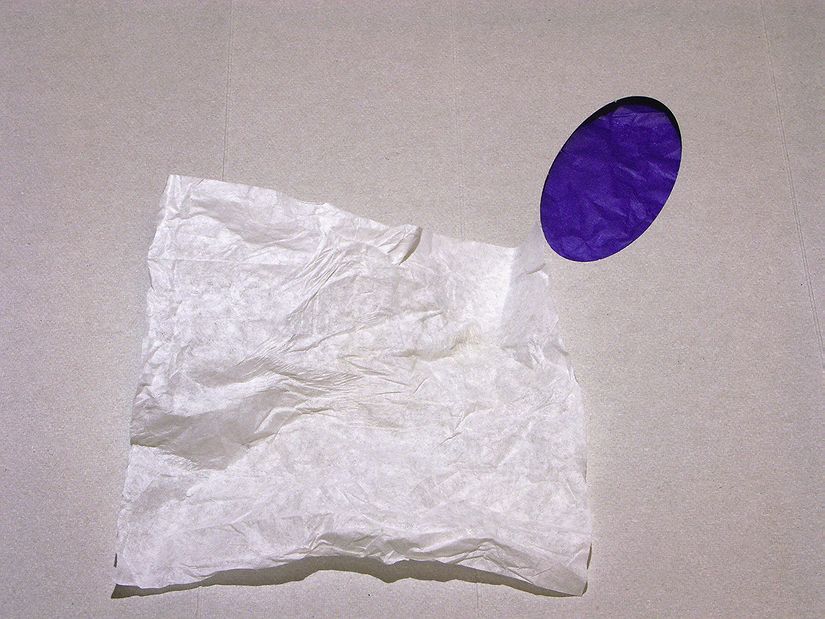    . . 2003.