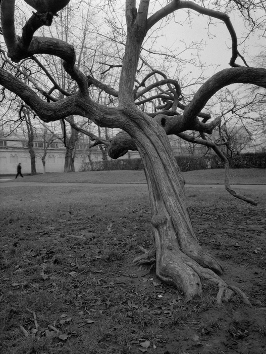  Tim Burton`s movie