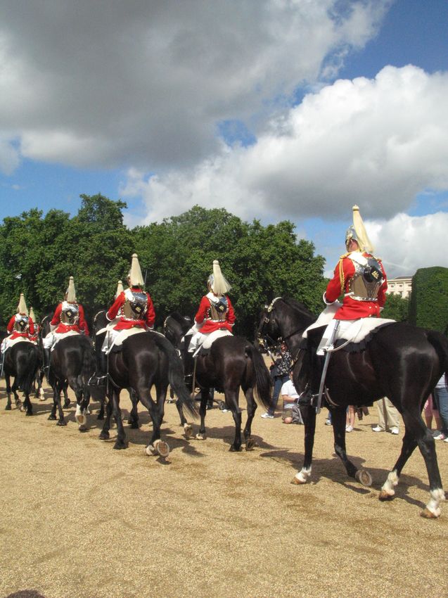  horses