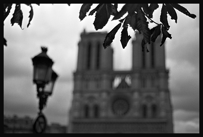  Notre Dame de Paris