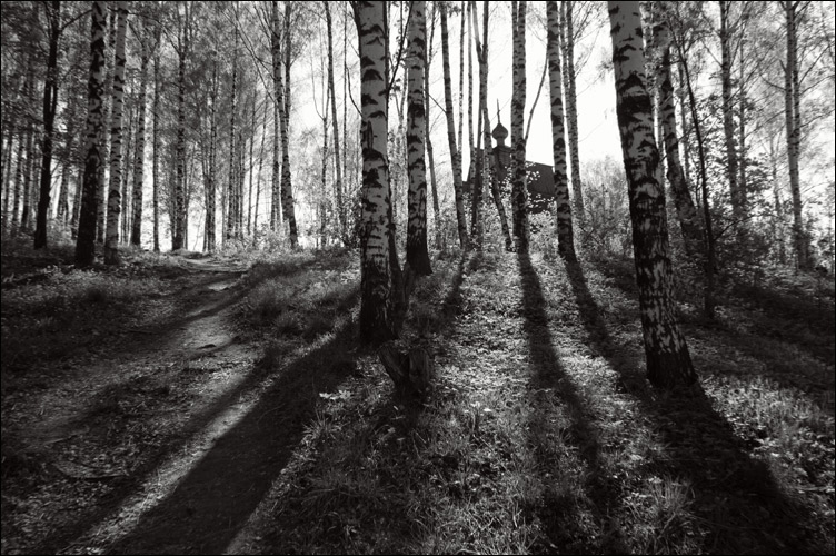  silentium (3)