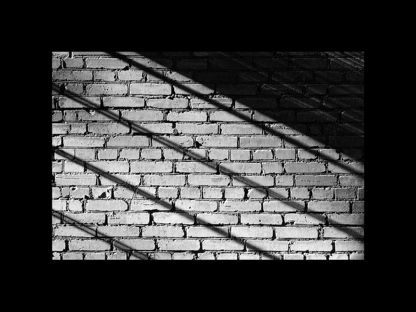  untitles #5
