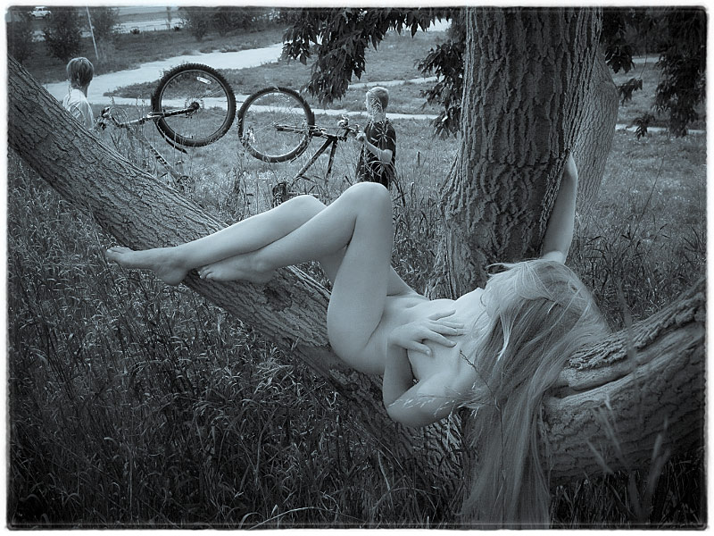  O-o (Bicycles-Glasses)