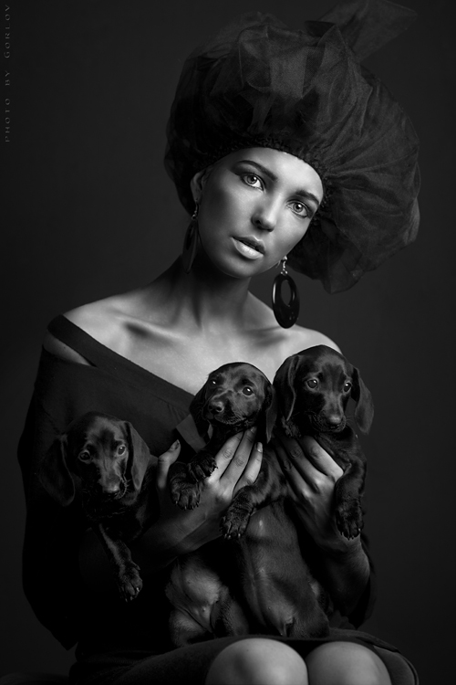  Three out of my dogs