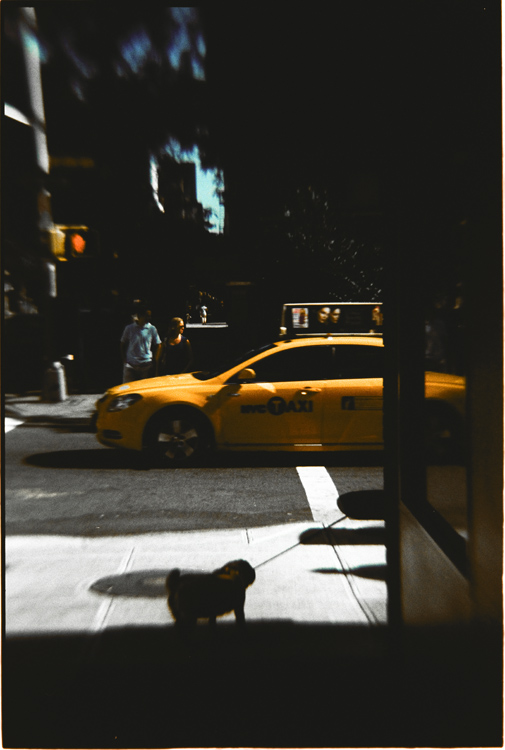    NY