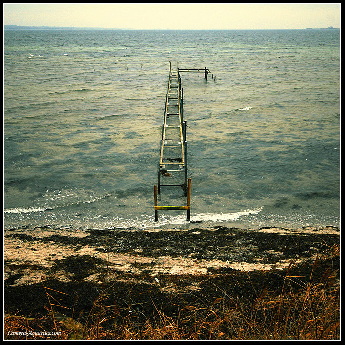  Northern Shores-I